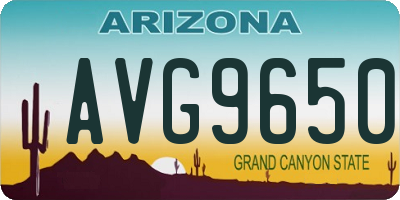 AZ license plate AVG9650