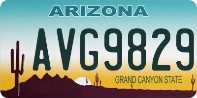 AZ license plate AVG9829