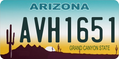 AZ license plate AVH1651