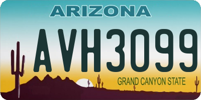 AZ license plate AVH3099