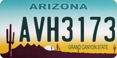 AZ license plate AVH3173