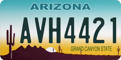 AZ license plate AVH4421