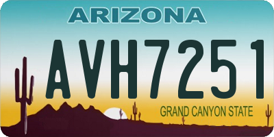 AZ license plate AVH7251