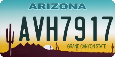 AZ license plate AVH7917