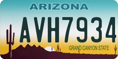 AZ license plate AVH7934
