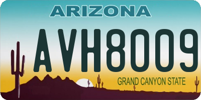 AZ license plate AVH8009