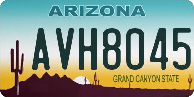 AZ license plate AVH8045