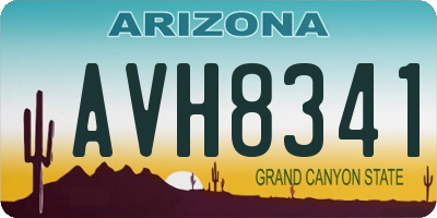 AZ license plate AVH8341