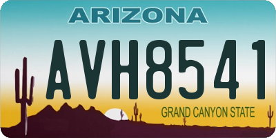 AZ license plate AVH8541