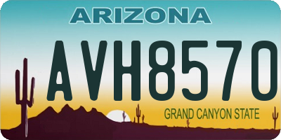 AZ license plate AVH8570