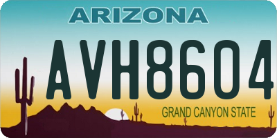 AZ license plate AVH8604