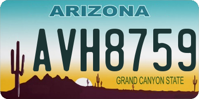AZ license plate AVH8759
