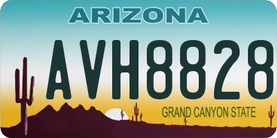 AZ license plate AVH8828