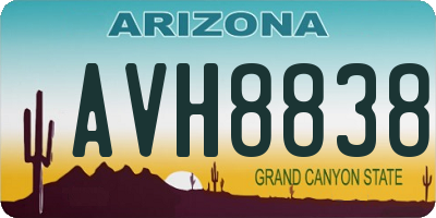 AZ license plate AVH8838