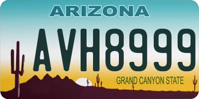 AZ license plate AVH8999
