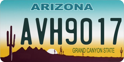 AZ license plate AVH9017