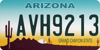 AZ license plate AVH9213