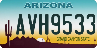 AZ license plate AVH9533