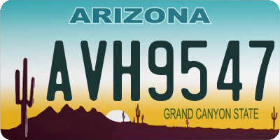 AZ license plate AVH9547