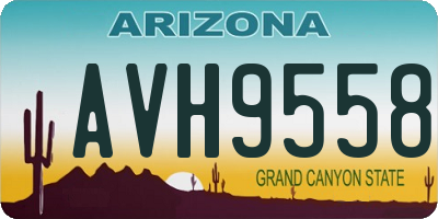 AZ license plate AVH9558