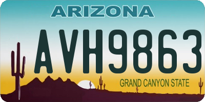 AZ license plate AVH9863