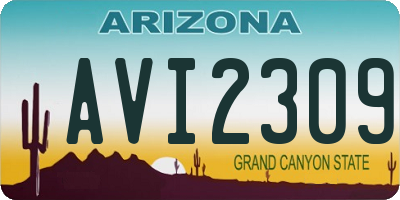 AZ license plate AVI2309