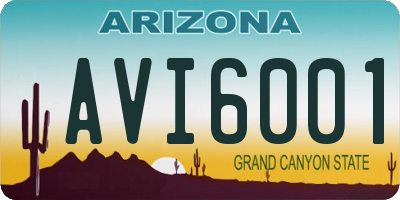 AZ license plate AVI6001