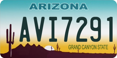 AZ license plate AVI7291