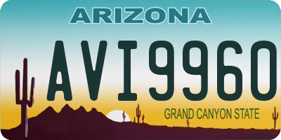 AZ license plate AVI9960