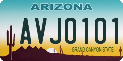 AZ license plate AVJ0101