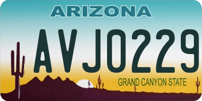 AZ license plate AVJ0229