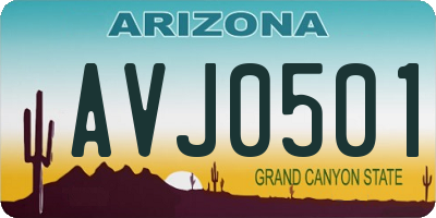 AZ license plate AVJ0501