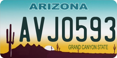 AZ license plate AVJ0593