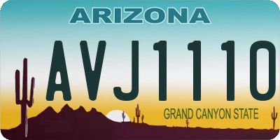 AZ license plate AVJ1110