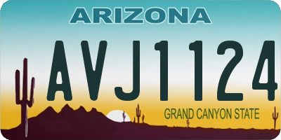 AZ license plate AVJ1124