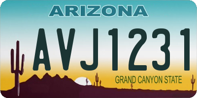 AZ license plate AVJ1231