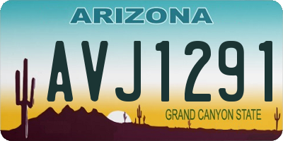 AZ license plate AVJ1291