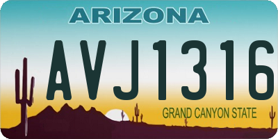 AZ license plate AVJ1316
