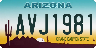 AZ license plate AVJ1981