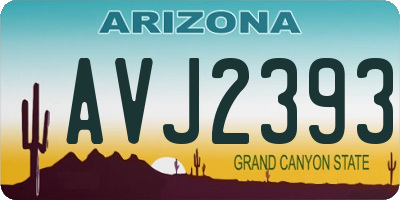 AZ license plate AVJ2393