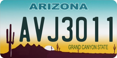 AZ license plate AVJ3011