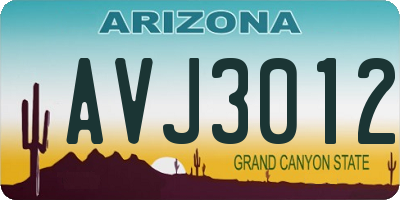 AZ license plate AVJ3012