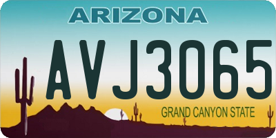 AZ license plate AVJ3065