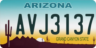 AZ license plate AVJ3137