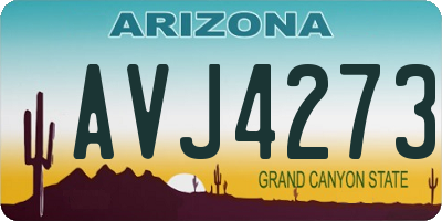 AZ license plate AVJ4273