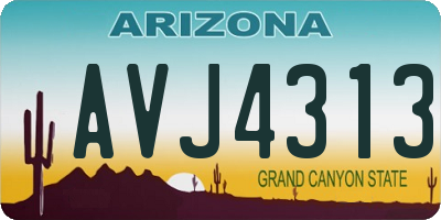 AZ license plate AVJ4313