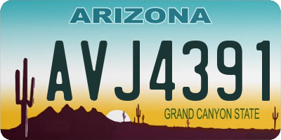 AZ license plate AVJ4391