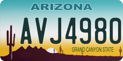 AZ license plate AVJ4980