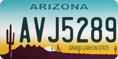 AZ license plate AVJ5289
