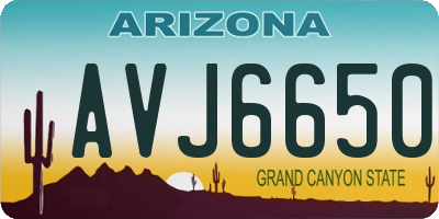 AZ license plate AVJ6650